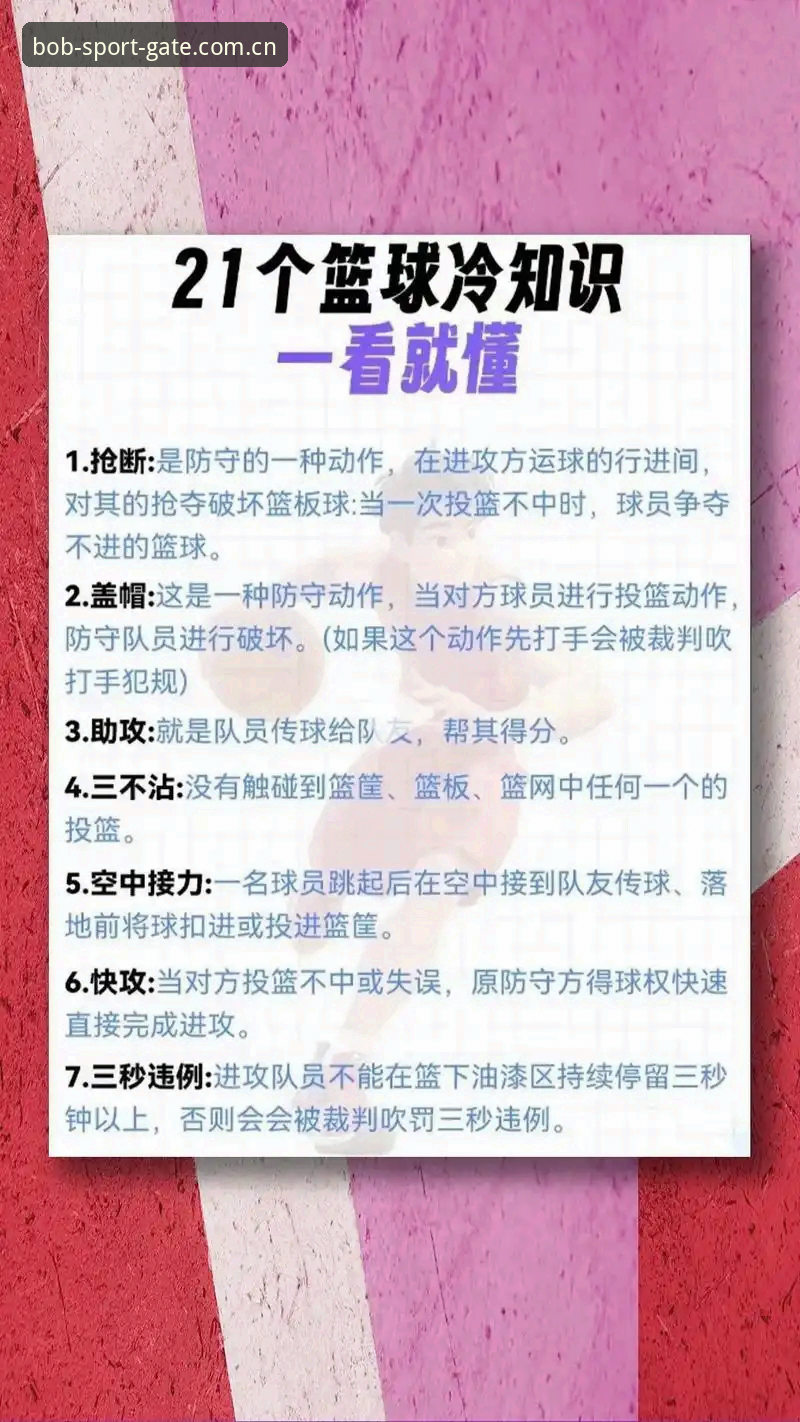 中国官方导航入口篮球数据功能详解——从用户痛点出发的实用指南
