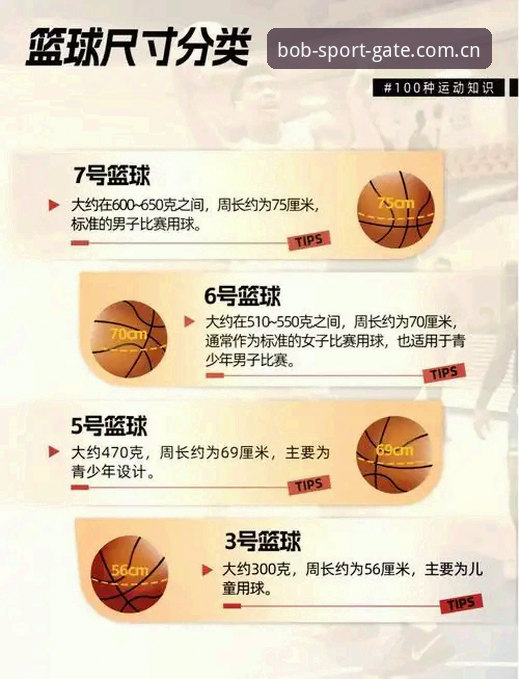 从看球到懂球：中国官方导航入口篮球数据手机版实用指南